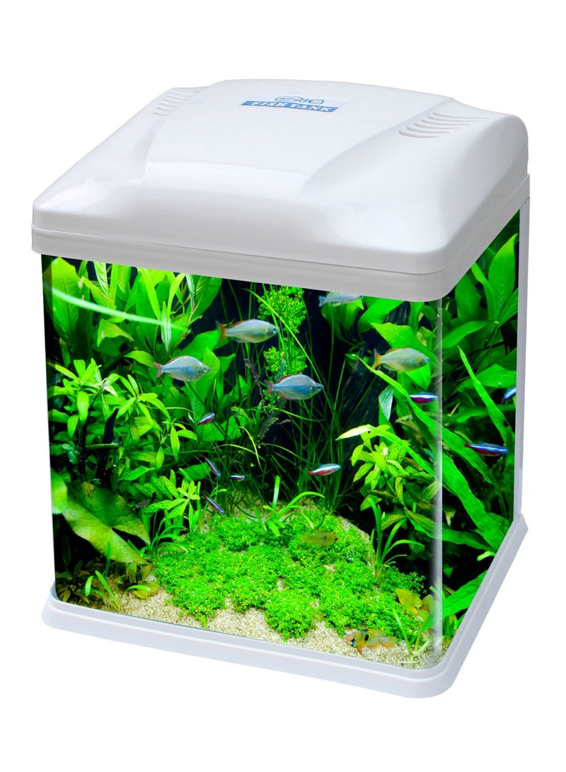B226 سلسلة B من حوض السمك 10 لتر مع ضوء وفلتر وأكسجين
