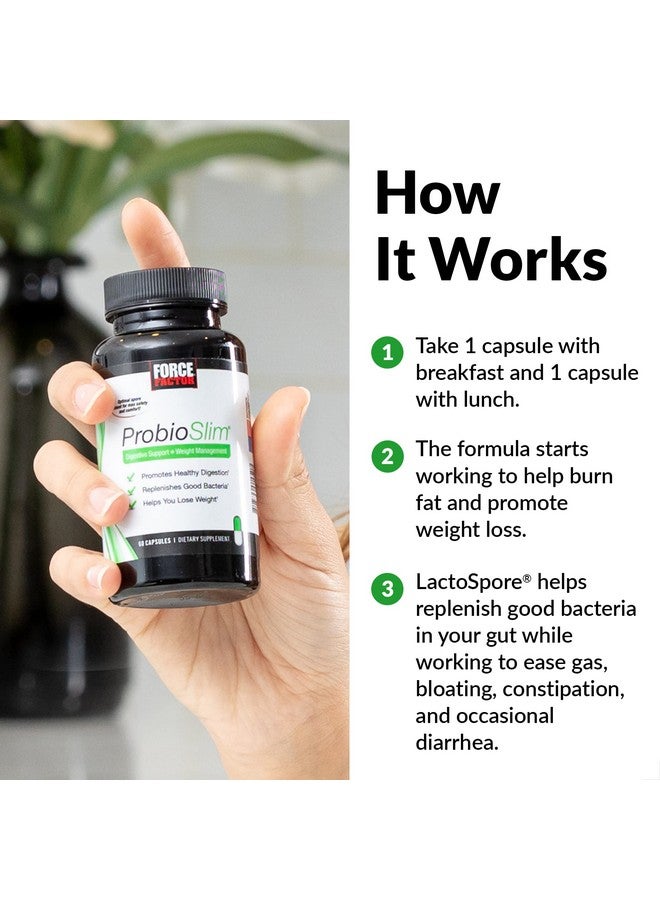 ProbioSlim Force Factor ProbioSlim Probiotics for Women and Men, Probiotics for Digestive Health to Reduce Bloating, Gas, & Occasional Diarrhea, with Prebiotics, LactoSpore, & Green Tea for Energy, 60 Capsules  - Image 4