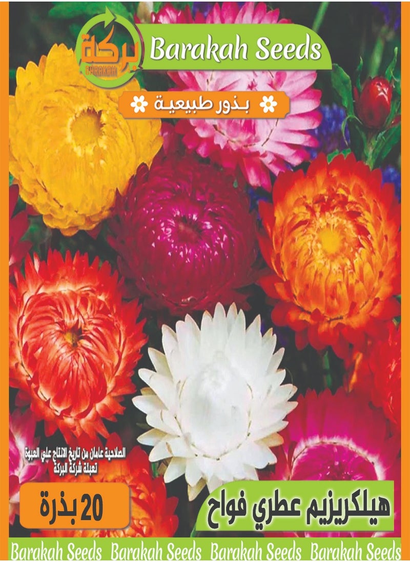 Generic High germination rate seeds - aromatic - Helchrysum flower 