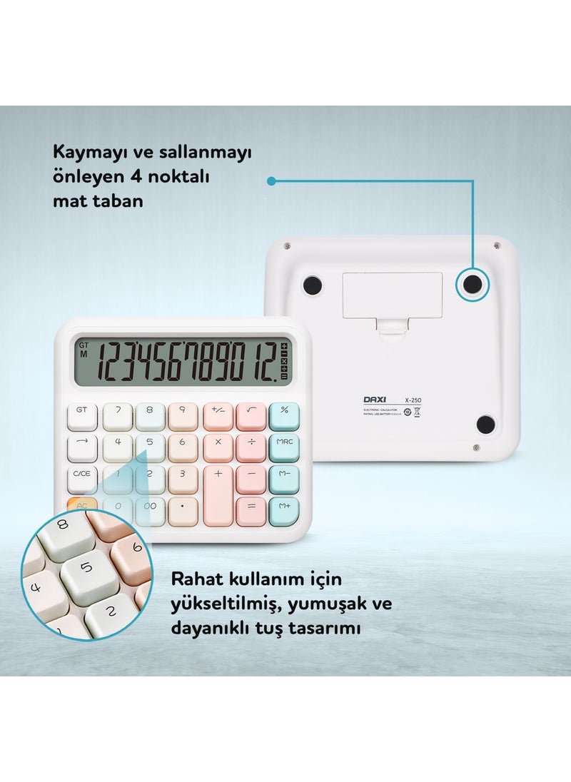 X-250 12 Digit Calculator - pzsku/Z423CF8BCB38E9641BD93Z/45/_/1740652572/121216ba-2611-435c-96bf-f43a0acbba13