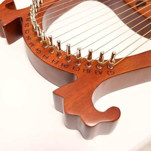 INKNOTE 16 PCS Tuning Pin with L-shape Wrench Gooseneck Hammer Lever and Dust Free Cloth for Lyre Harp Zithers Harpsichord Dulcimer and Other Primitive Stringed Instruments - Image 5