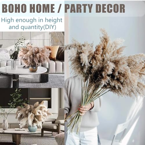 ROOLLYA 20 Stems 28" Large Brown Pampas Grass - Natural Fluffy Pompas Grass Bulk for Floor Vase - Boho Decor Home Wedding Event Decor, Gift - Image 5