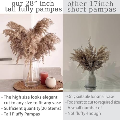 ROOLLYA 20 Stems 28" Large Brown Pampas Grass - Natural Fluffy Pompas Grass Bulk for Floor Vase - Boho Decor Home Wedding Event Decor, Gift - Image 2