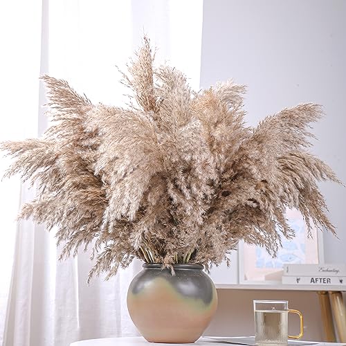 ROOLLYA 20 Stems 28" Large Brown Pampas Grass - Natural Fluffy Pompas Grass Bulk for Floor Vase - Boho Decor Home Wedding Event Decor, Gift - Image 1