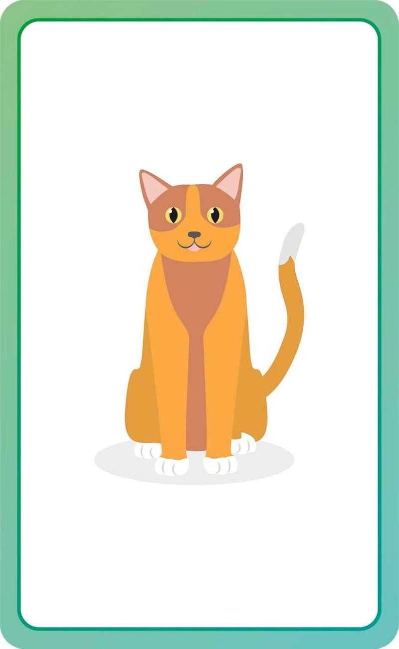 German For Everyone Junior First Words Flash Cards - Image 5