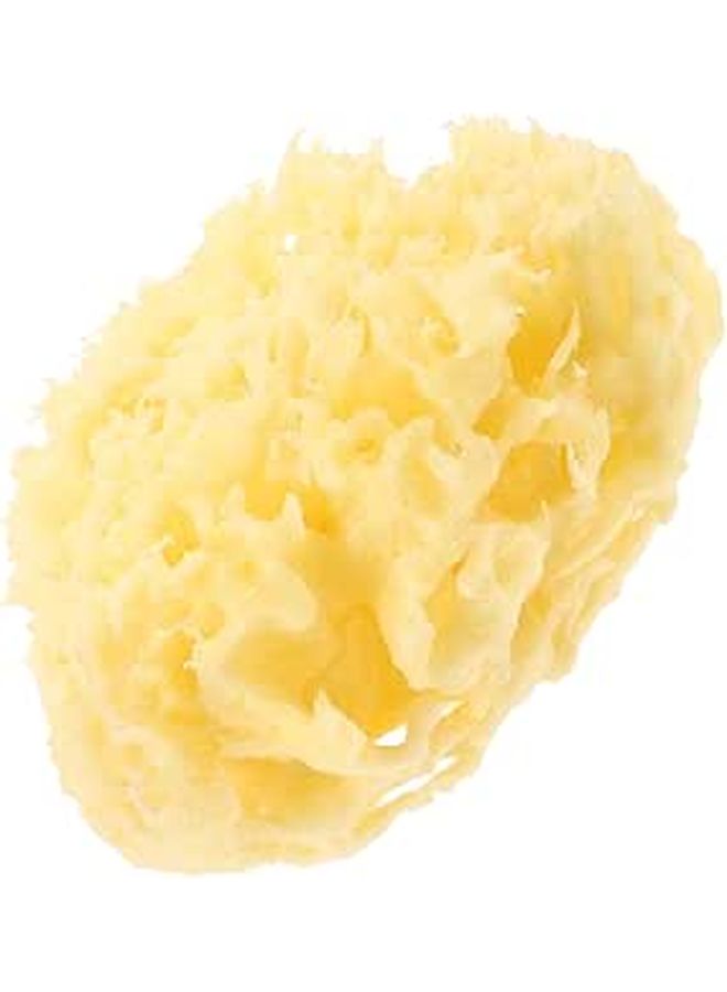 Natural Honeycomb Bath Sponge 7 8cm Body Exfoliating Scrubber For Adults And Babies - Image 1