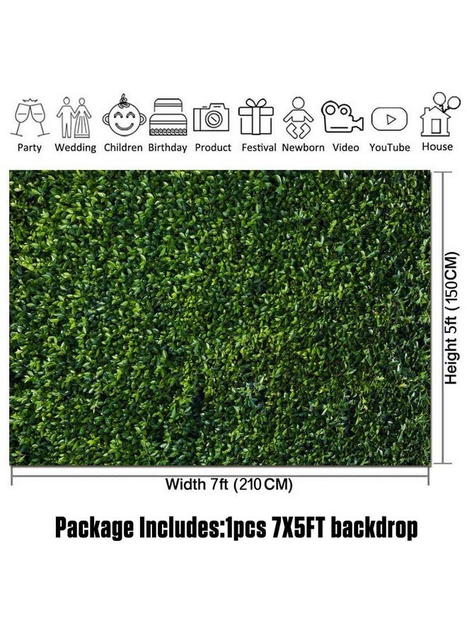 HQM - 7X5Ft Nature Spring 3D Green Leaves Theme Photo Background Wedding Birthday Party Newborn Baby Shower Photography Backdrops Zoo Decor Shoot Props Bannner - Image 1
