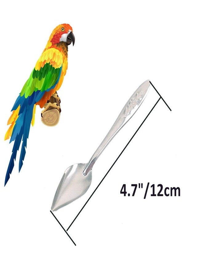 Bandelt 5 Pcs Stainless Steel Bird Parrot Feeder Spoon for Baby Birds, 4.7" - Image 3