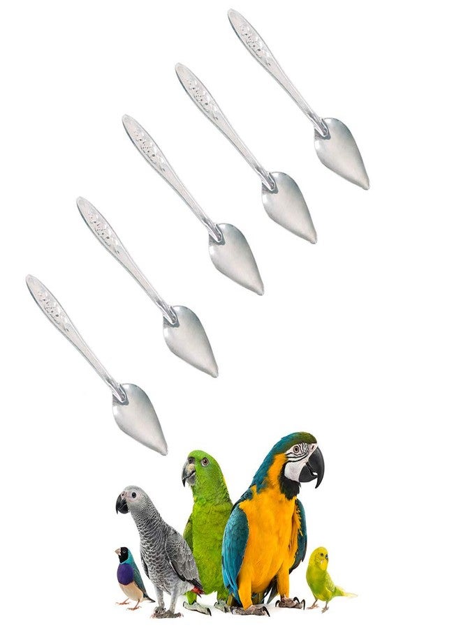 Bandelt 5 Pcs Stainless Steel Bird Parrot Feeder Spoon for Baby Birds, 4.7" - Image 4