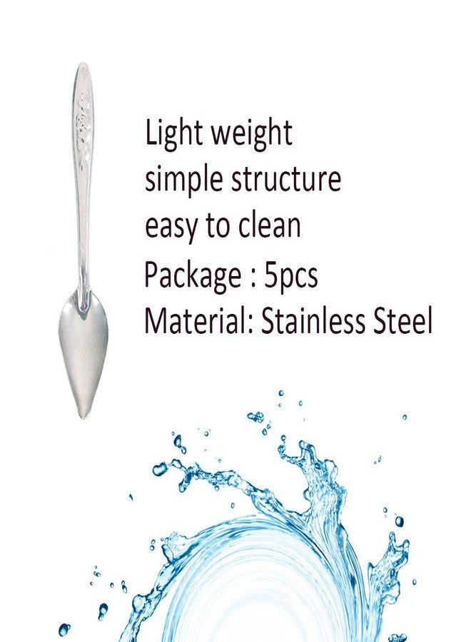 Bandelt 5 Pcs Stainless Steel Bird Parrot Feeder Spoon for Baby Birds, 4.7" - Image 2