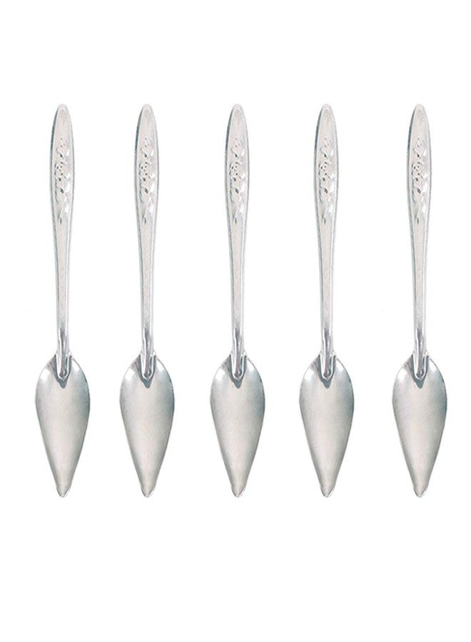 Bandelt 5 Pcs Stainless Steel Bird Parrot Feeder Spoon for Baby Birds, 4.7" - Image 1
