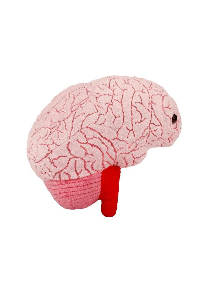 Giant Microbes عضو دماغي من Giantmicrobes، عضو دماغي من القطيفة الواقعية الرائعة، هدية تعليمية في مجال علم الأحياء، أداة رائعة للمعلمين، هدية ممتازة للأطباء والممرضات والمعلمين والعلماء - Image 1