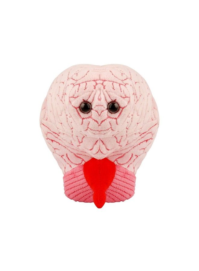 Giant Microbes عضو دماغي من Giantmicrobes، عضو دماغي من القطيفة الواقعية الرائعة، هدية تعليمية في مجال علم الأحياء، أداة رائعة للمعلمين، هدية ممتازة للأطباء والممرضات والمعلمين والعلماء - Image 5