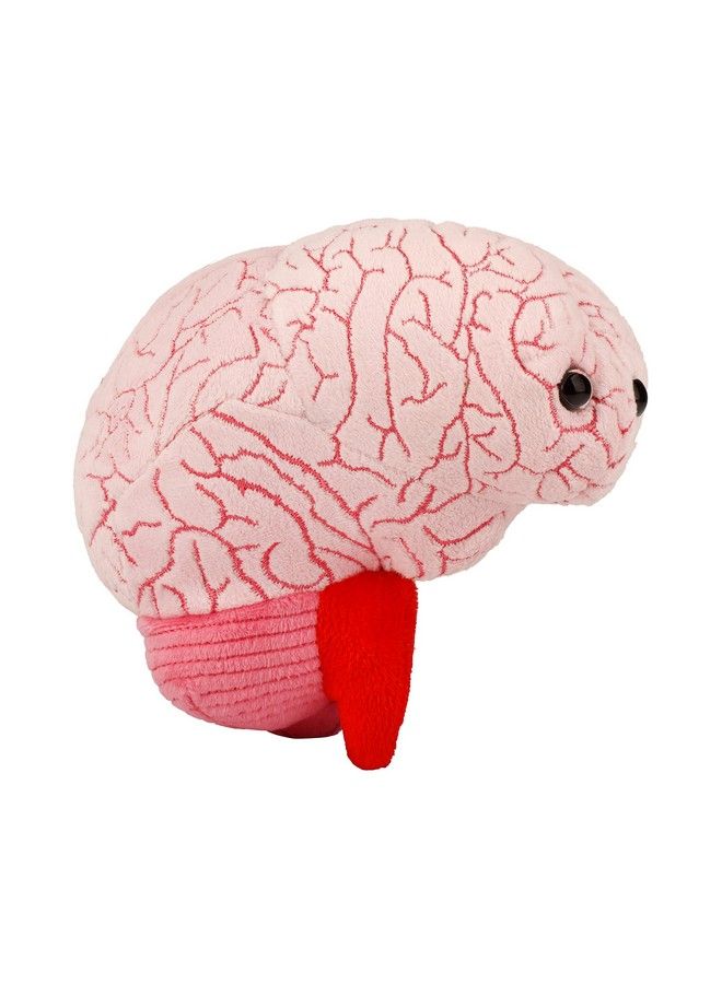 Giant Microbes عضو دماغي من Giantmicrobes، عضو دماغي من القطيفة الواقعية الرائعة، هدية تعليمية في مجال علم الأحياء، أداة رائعة للمعلمين، هدية ممتازة للأطباء والممرضات والمعلمين والعلماء - Image 4