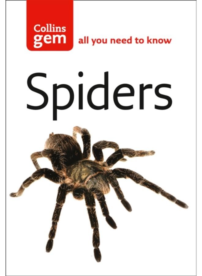 Spiders 