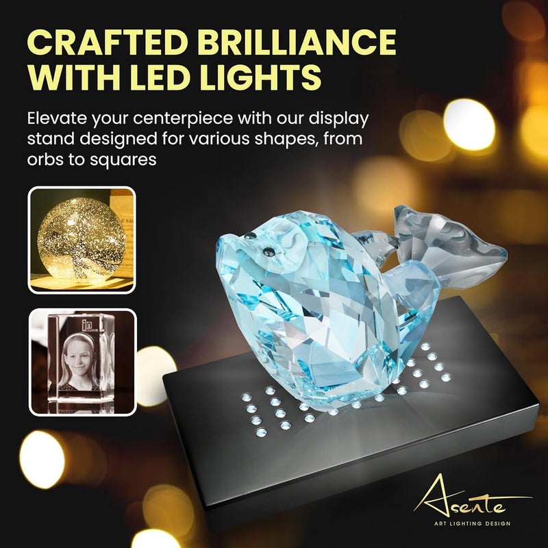ASENTE 36 White-Light LED Lighted Base for Glass Art - Crystal Display, Lighted Acrylic Base, Glass Vase for Centerpiece Stand, Matte Black - Image 3