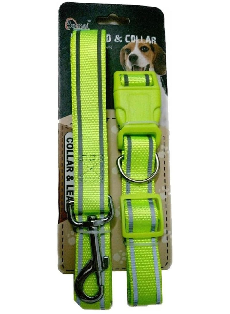 بلانيت طوق ومقود للكلاب، طوق وزمام لتدريب الكلاب من حبل باراكورد شديد التحمل، وناعم لبشرة الحيوانات الأليفة، للكلاب الصغيرة والمتوسطة والكبيرة (مقاس L)