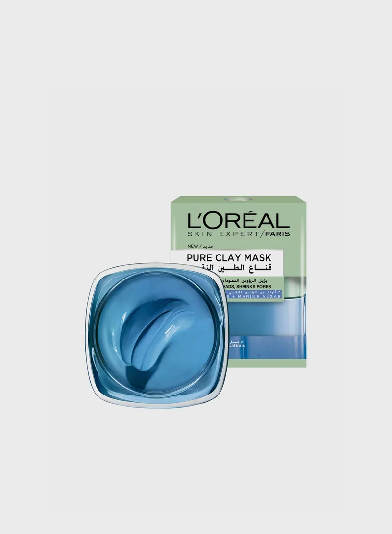 L'OREAL PARIS Pure Clay Anti-Blemish Mask