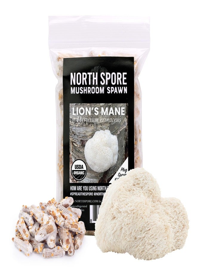 North Spore مقابس فطر ذيل الأسد من نورث سبور (100 قطعة) | جودة ممتازة من مقابس الفطر | مصنوعة يدويًا في مين، الولايات المتحدة الأمريكية | زراعة الفطر الذواقة في الهواء الطلق على الأخشاب - Image 1