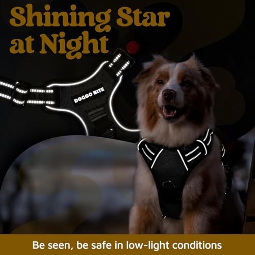 Doggo Bite Premium Reflective Dog Vest Harness| Soft Breathable| Padded Handle| Adjustable Straps & Dual Lock Buckle| No-Choke Design with Free Leash-12mm Chest (22-30 inch) All Medium Breeds 12-27 Kg - Image 5