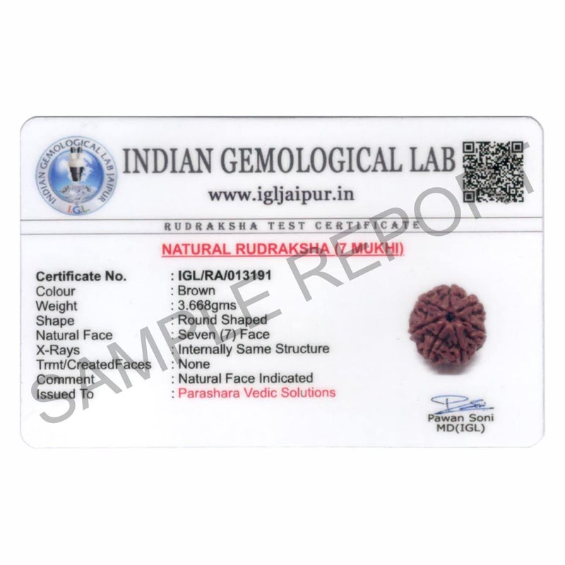 Arkam Seven Mukhi Rudraksha Certified/Original Nepali 7 Mukhi Rudraksh/Natural 7 Faced Rudraksha (Brown) with Certificate and Puja Instructions - Image 2