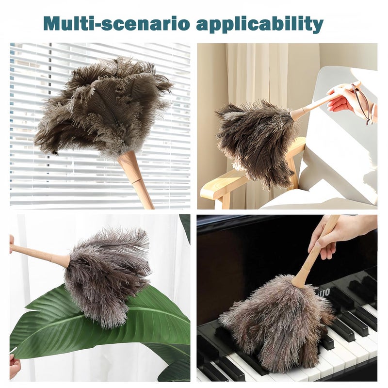 Ddzmz Feather Duster, Feather Dusters for Cleaning Ddzmz Fluffy Natural Genuine Ostrich Feathers with Wooden Handle Reusable Handheld Ostrich Feather Duster Cleaning Supplies, Gray and Brown(Length 16") - Image 4