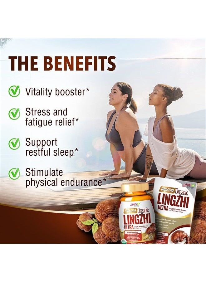 LABO Nutrition - Bioactive Organic Lingzhi / Reishi Ultra for Immune Support, Vitality, USDA Organic, 7 Medicinal Mushroom Supplement, Cordyceps, Maitake, Turkey Tail, Agaricus blazei Murill, Shiitake - Image 1