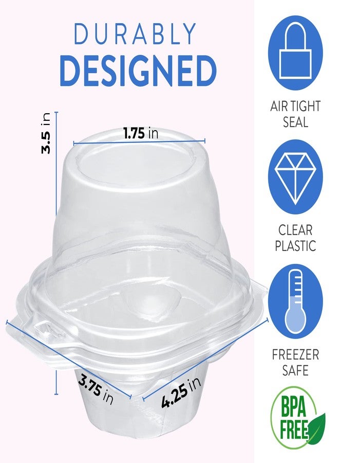Supellectilem Individual Cupcake Containers (200 Pack) | Clear Plastic Disposable Cupcake Boxes/Holders | Single Cupcake Holder with Dome Lid Bulk | BPA-Free Plastic Cupcake Muffin Container Carrier Boxes to Go - Image 4