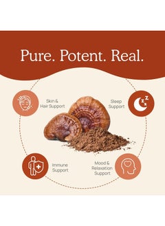 Real Mushrooms Reishi Capsules - Organic Mushroom Extract Supplement with Potent Red Reishi Mushroom - Vegan Mushroom Supplement, Non-GMO, 90 Caps  - Image 4