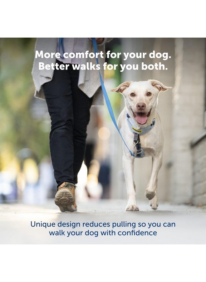 بيت سيف حزام الكلب المريح سهل المشي من PetSafe بدون شد مبطن بالكامل - يمشي بشكل أفضل عند الاستخدام الأول - 5 نقاط تعديل متوسطة/كبيرة، أسود - Image 2