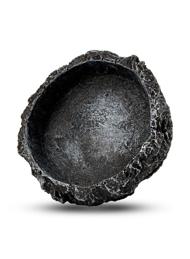 Reptile Feeding Bowl Food Water Terrarium Dish Pet Lizard Gecko Feeder - 8x8x2 CM - Image 5