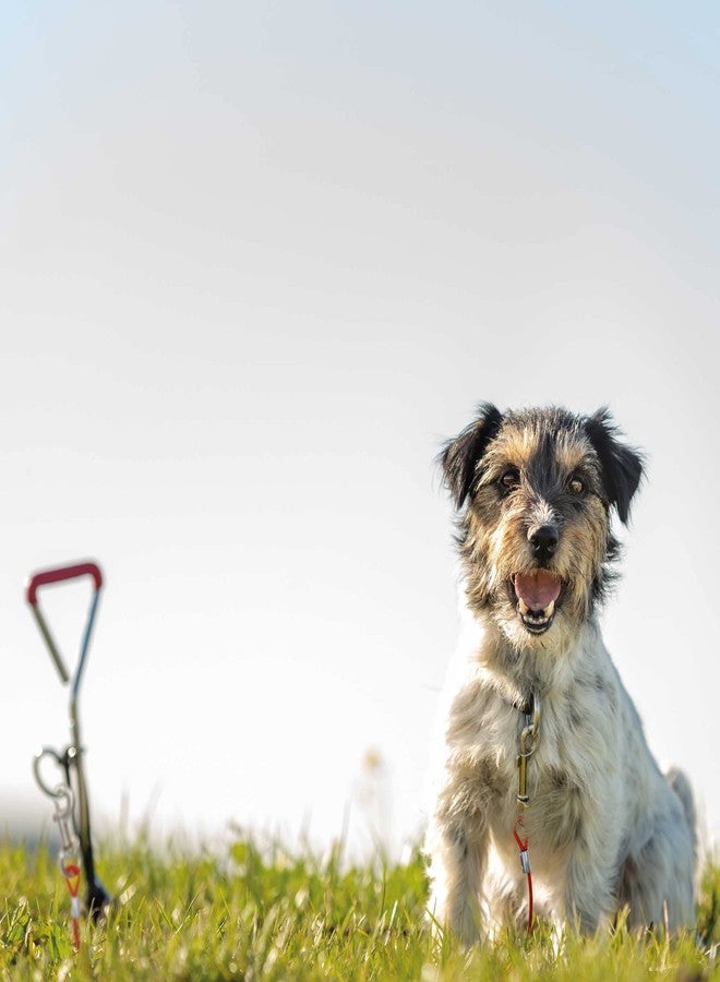 تريكسي كابل ربط تريكسي 8 أمتار - Image 3