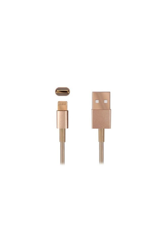 MATRIX - Gold Charger Cable For IPhone1m - Image 1