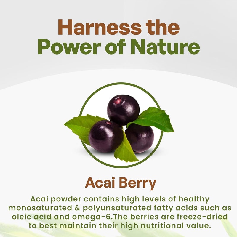 Go Nutra Organic Freeze Dried Acai Berry Powder - 1 lb (16 oz) - 150 Servings from Brazil - Image 3