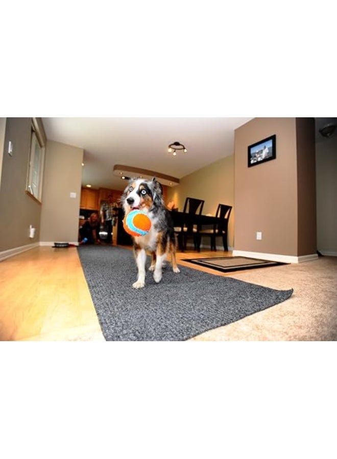 Chuckit! Indoor Ball for Small Dogs and Puppies Dog Toy Orange/Blue One Size - Image 5