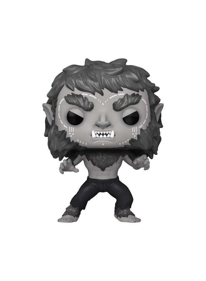 Funko POP! Marvel: Werewolf by Night - Werewolf - Werewolf by Night - Collectable Vinyl Figure - Gift Idea - Official Merchandise - for Kids & Adults - Horror Fans - Model Figure for Collectors - Image 2