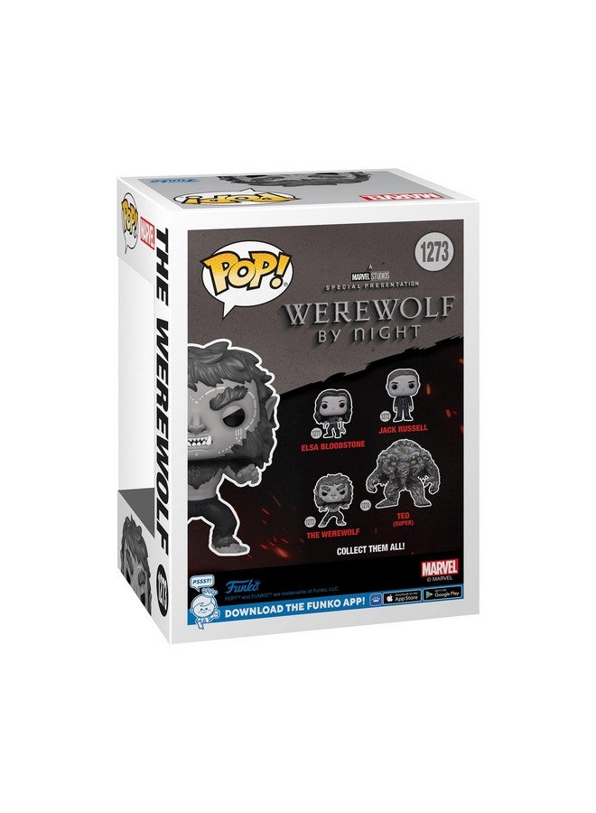 Funko POP! Marvel: Werewolf by Night - Werewolf - Werewolf by Night - Collectable Vinyl Figure - Gift Idea - Official Merchandise - for Kids & Adults - Horror Fans - Model Figure for Collectors - Image 3