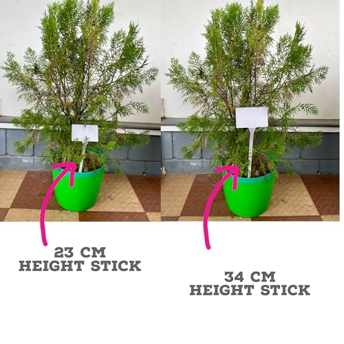 MEI Name Plate Sticks for Plants, Gardening Plant Name Tag I White Plastic T-Type Plant Shrub | Tree Seeds Tags | Markers Nursery | Garden Labels (Pack of 10 Labels, Big) - Image 3