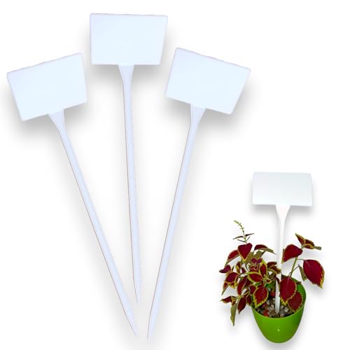 MEI Name Plate Sticks for Plants, Gardening Plant Name Tag I White Plastic T-Type Plant Shrub | Tree Seeds Tags | Markers Nursery | Garden Labels (Pack of 10 Labels, Big) - Image 1