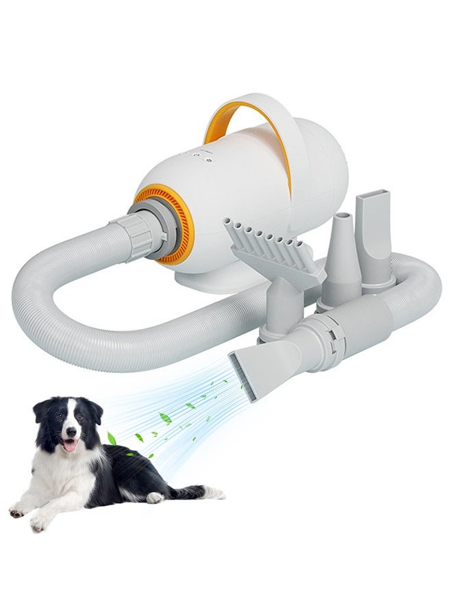 2200W Pet Grooming Blow Dryer with 4 Nozzles, High Velocity Dog Dryer with Adjustable Speed & Temperature Control, Low Noise Force Dryer for Dogs, Cats & Professional Pet Grooming