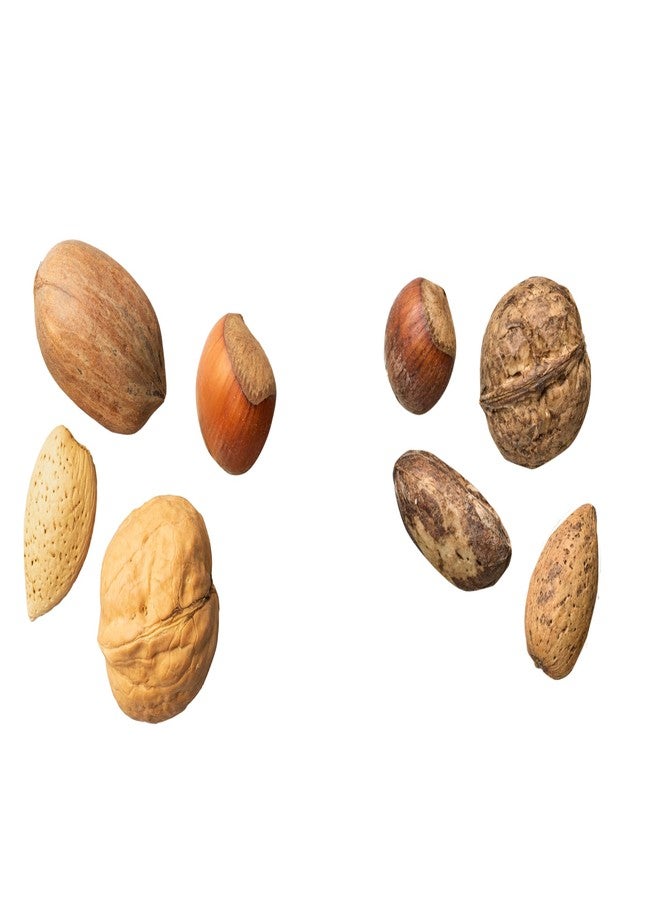 Nuts.com Mixed Nuts in Shell, No Brazil Nuts - 3 lb Bag, Natural, Includes Walnuts, Hazelnuts, Pecans, Almonds - Healthy Snack Sampler for Squirrels - Image 4