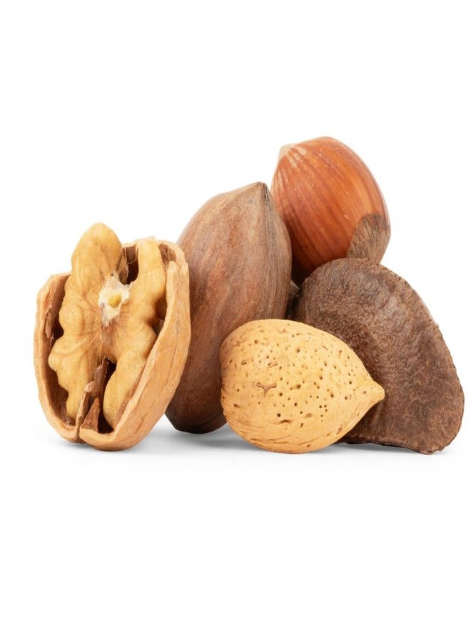 Nuts.com Mixed Nuts in Shell, No Brazil Nuts - 3 lb Bag, Natural, Includes Walnuts, Hazelnuts, Pecans, Almonds - Healthy Snack Sampler for Squirrels - Image 5