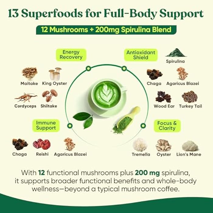 Venture Pal Mushroom Matcha Powder – 13 Superfood Mushroom Coffee Alternative with Ceremonial Grade Matcha Powder, 1.5B Probiotics for Focus, Energy & Digestion - Image 3