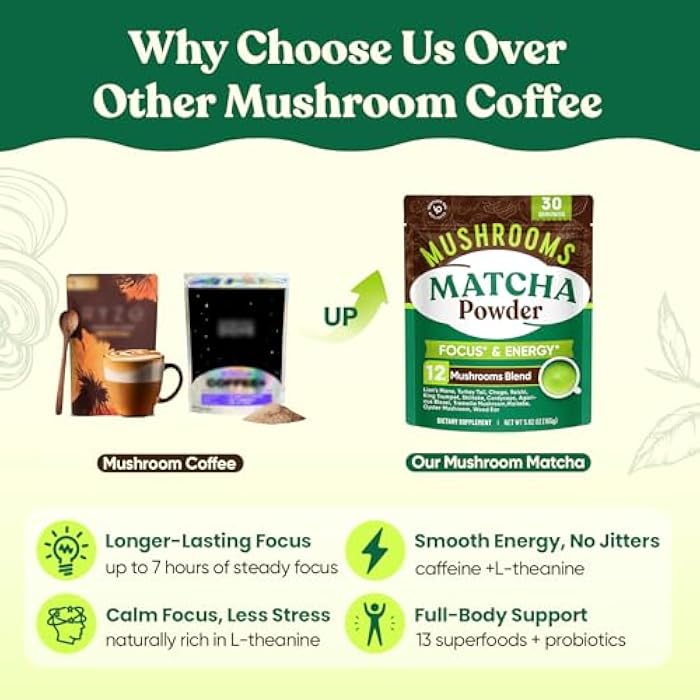 Venture Pal Mushroom Matcha Powder – 13 Superfood Mushroom Coffee Alternative with Ceremonial Grade Matcha Powder, 1.5B Probiotics for Focus, Energy & Digestion - Image 2