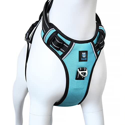 HANK Dog Harness | 3M Reflective Strap | Dog Body Vest for Medium Dogs | Soft Comfortable Padded | Anti Pull Harness for Walking, Training (Cyan Blue - M (14-22Kg) - Image 1