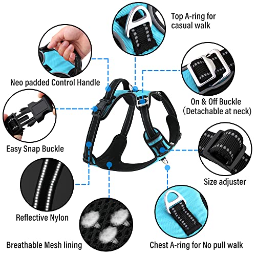 HANK Dog Harness | 3M Reflective Strap | Dog Body Vest for Medium Dogs | Soft Comfortable Padded | Anti Pull Harness for Walking, Training (Cyan Blue - M (14-22Kg) - Image 2