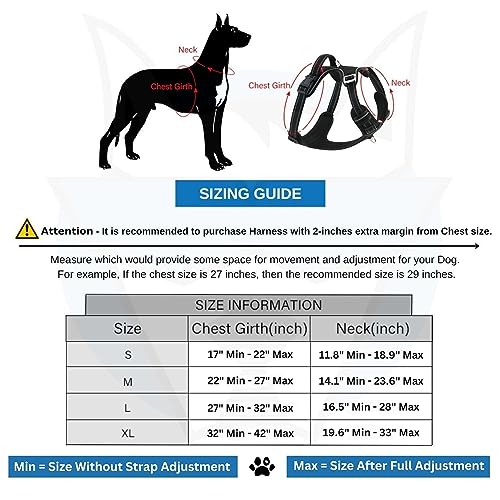 HANK Dog Harness | 3M Reflective Strap | Dog Body Vest for Medium Dogs | Soft Comfortable Padded | Anti Pull Harness for Walking, Training (Cyan Blue - M (14-22Kg) - Image 4