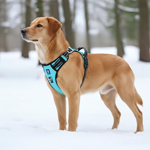 HANK Dog Harness | 3M Reflective Strap | Dog Body Vest for Medium Dogs | Soft Comfortable Padded | Anti Pull Harness for Walking, Training (Cyan Blue - M (14-22Kg) - Image 3