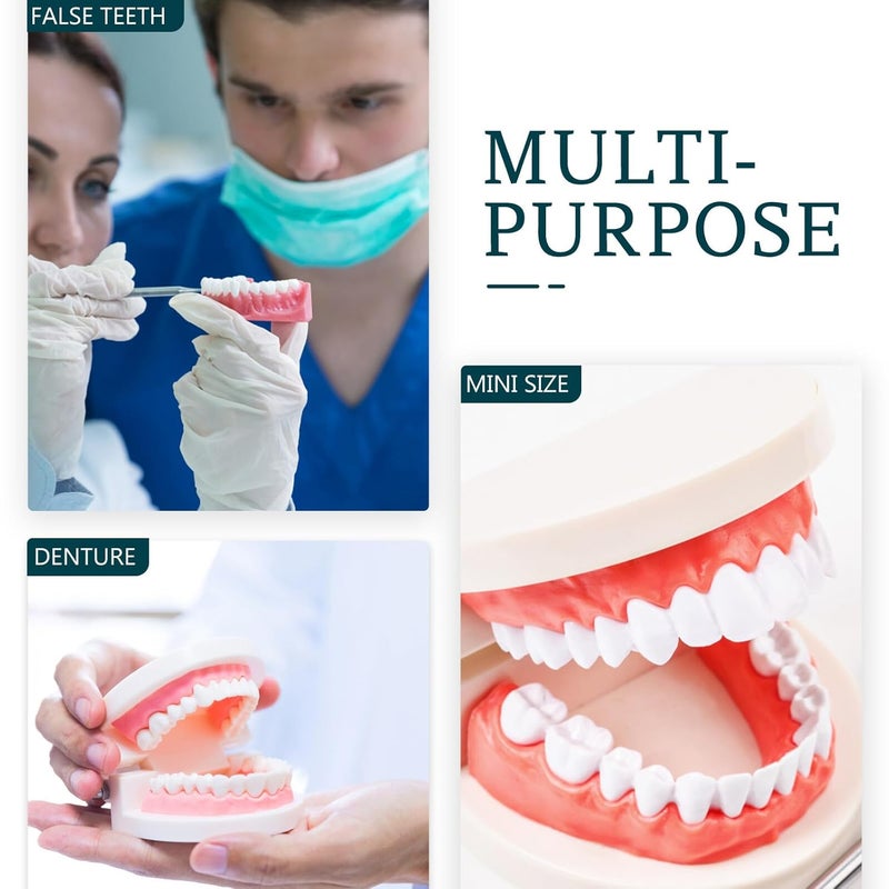 GALPADA Portable Denture Case Rinsing Basket Large Capacity Tooth Shaped Design Blue - Image 3