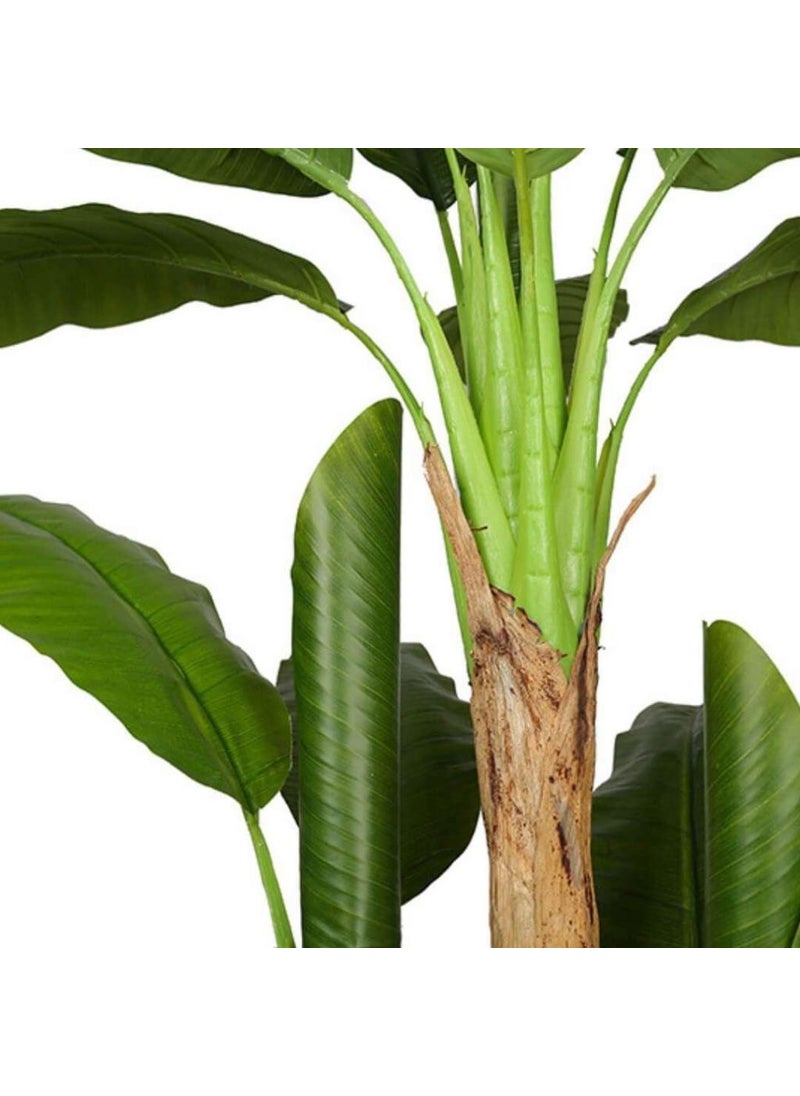 Nettenevime Artificial Tree Banana Tree 200CM 19 Leaves 3 Trunks - pzsku/Z425790785F91B7179382Z/45/_/1725726193/639ae61b-c1dd-41f7-835e-db5a5a523194